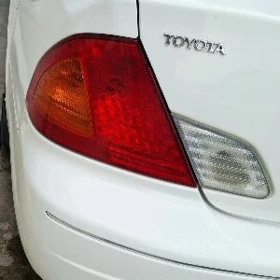 DUTY AVALON, STOP ÇYRA