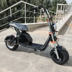 TIGIR MATOR BASEYKA SALANJAK