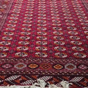 Artel Haly