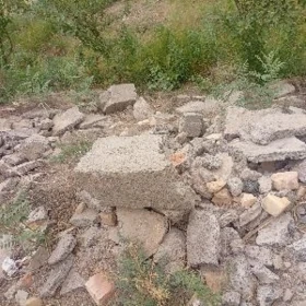 SATLYK BITONLAR