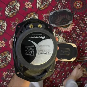 pıoner  argınal 500 w