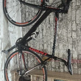Giant TCR