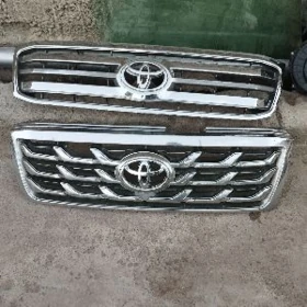 100 lik land cruiser abinsowka