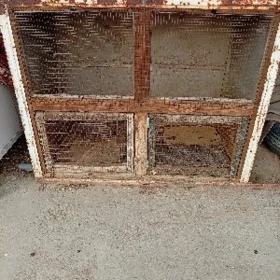 ketek