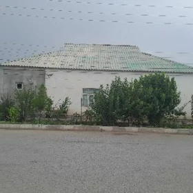 Çoganly satlyk pulan jay