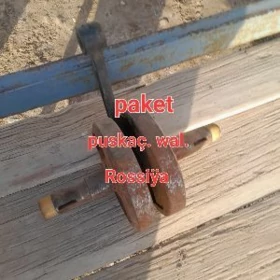 puskaç wal