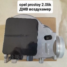 opel wozduhamer