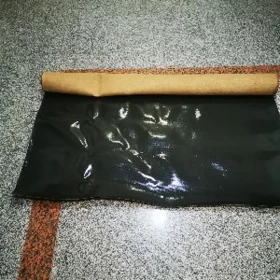 Gazel Haice üçn