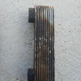 tepleminik