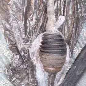 Daşky granat