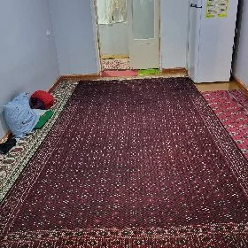 Turkmen palas
