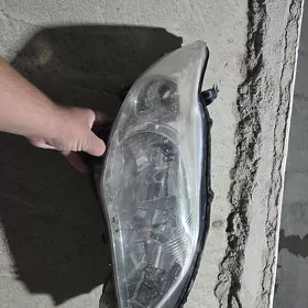 carolla karolla fara 11 12