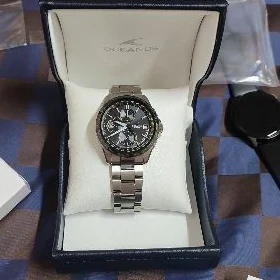 sagat Casio Oceanus