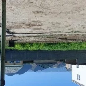 Bagyr mireve bos mellek