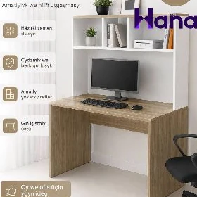 OFIS STOLY