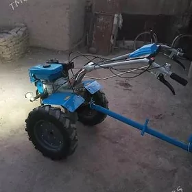 MTZ 80 2010