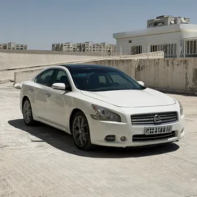 Nissan Maxima 2010