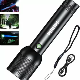ФОНАРИК PHILIPS SFL8168 30W