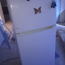 holodinik