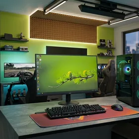 RYZEN 5 3600 / GTX 1060 6GB / 24 100HZ