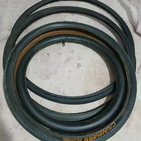 Welseped, tiger pokryşka kamer