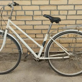 TIGIR WELOSIPED