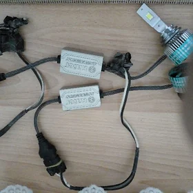 led kayer