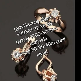gyzyl kumuş alyan