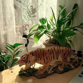 Тигр Gaplaň