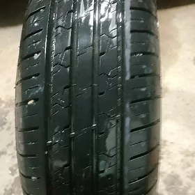 Habilead pakryşka