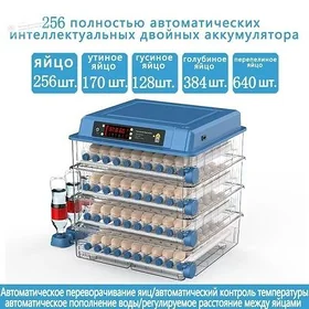 inkubator