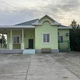 Tejen  satlyk jaý