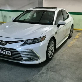Toyota Camry 2020