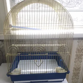 клетка