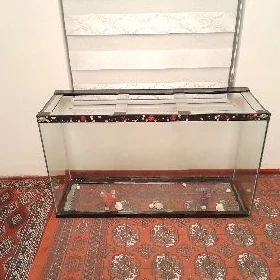 Akwarÿum