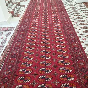 Haly doroşka