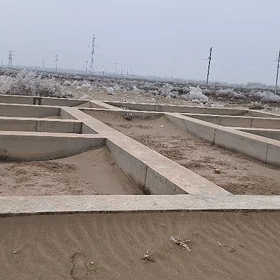 участка гулистанда