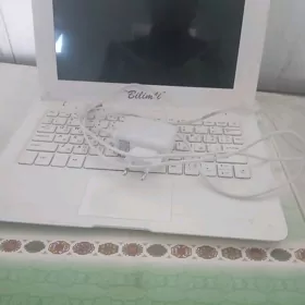 Bilimli kampýuteri