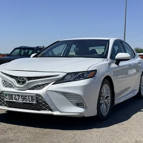 Toyota Camry 2020