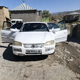 Opel Omega 1994