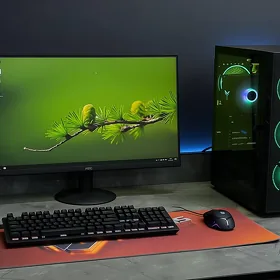 i3 10100F / GTX 1060 6GB / 24 100 HZ