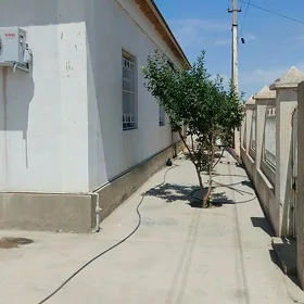 Galkynyş özi