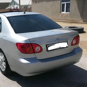 CAROLLA SETGA
