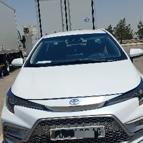 Toyota Corolla 2024