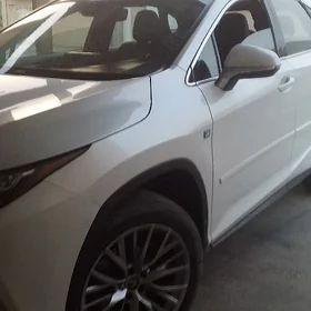 LEXUS RX-350 2015-2021 molding