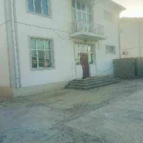 kotej