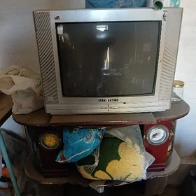 ТЕЛЕВИЗИР. ПАСТАВЫКА