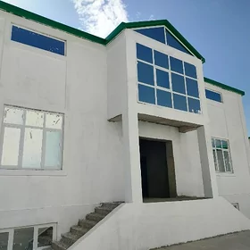 Gyssagly Gami kotej korobka .8