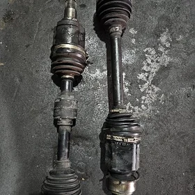 camry palt aziyada okuz granat