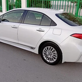 Toyota Corolla 2020